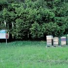 Insektenhotel mit Infotafel +Bienenappartments