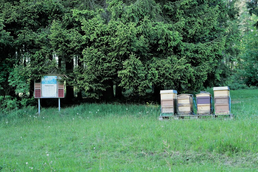 Insektenhotel mit Infotafel +Bienenappartments