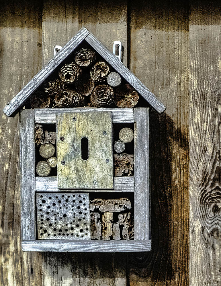 Insektenhotel (Sonntags abstrakt)