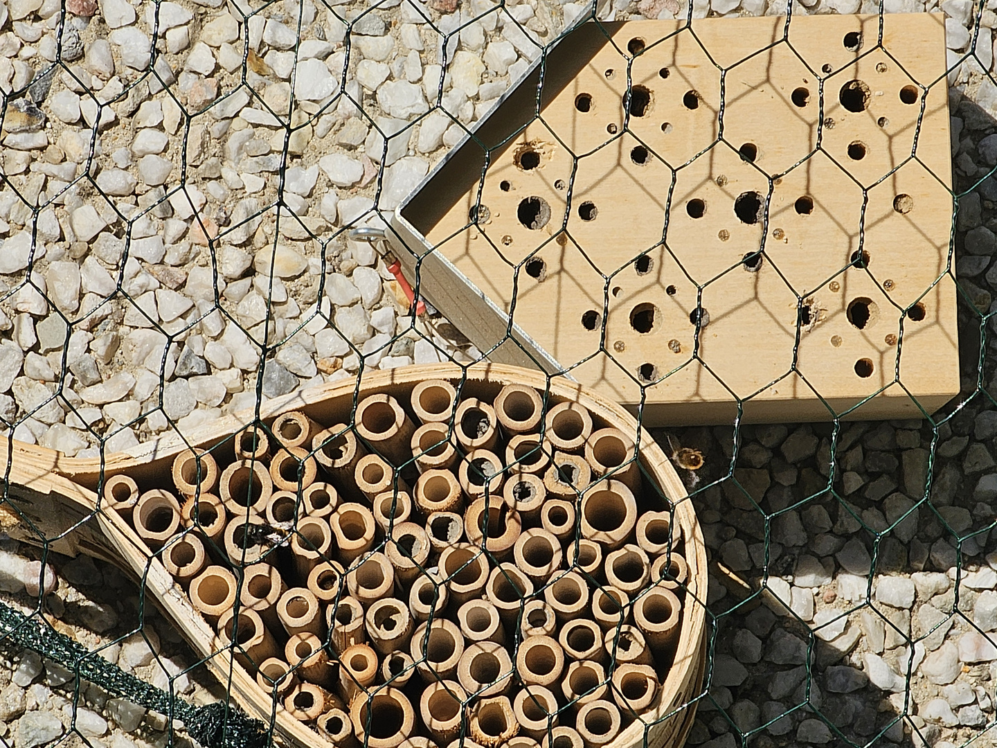 Insektenhotels auf dem Balkon
