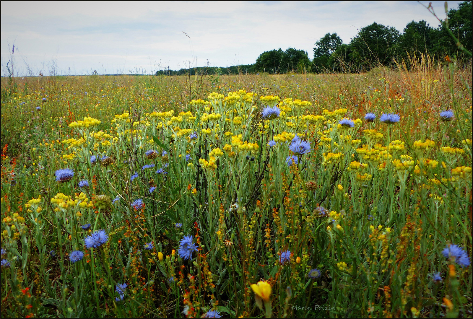 Insektenparadies