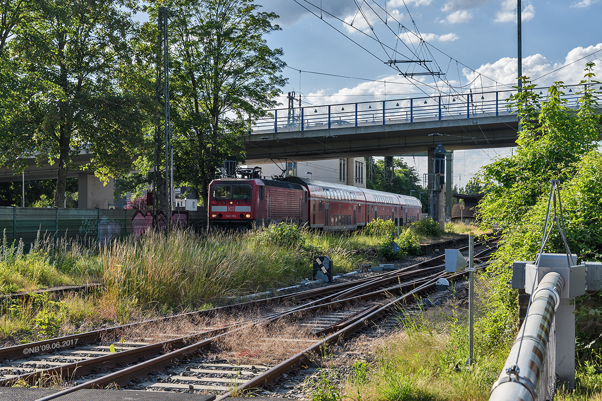 Insektenparadies Bahnsteig