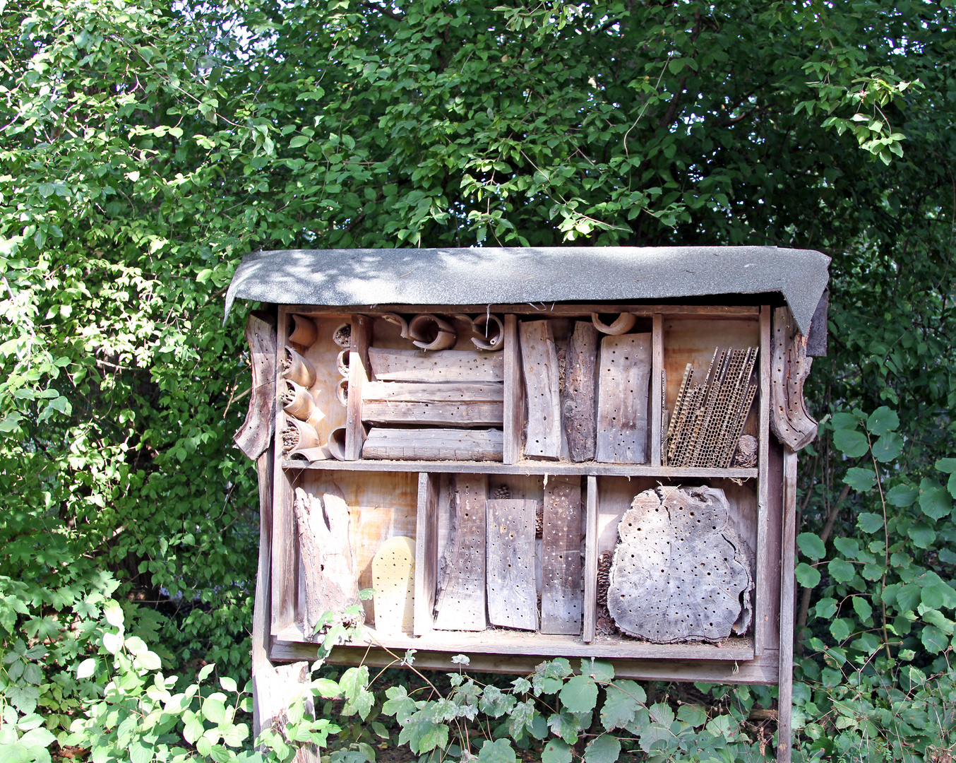 Insektenstand im Zoo Heidelberg