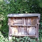 Insektenstand im Zoo Heidelberg