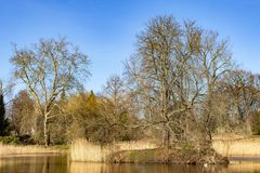 Insel