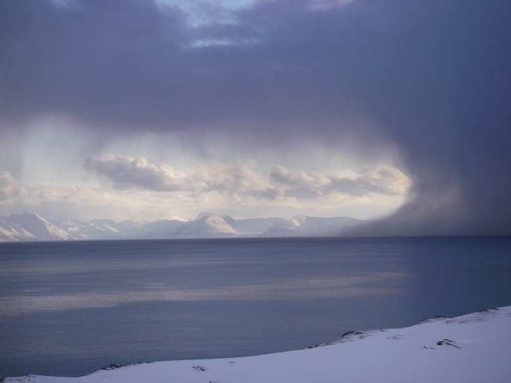 Insel am Nordkap