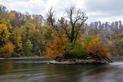 Insel am Rhein