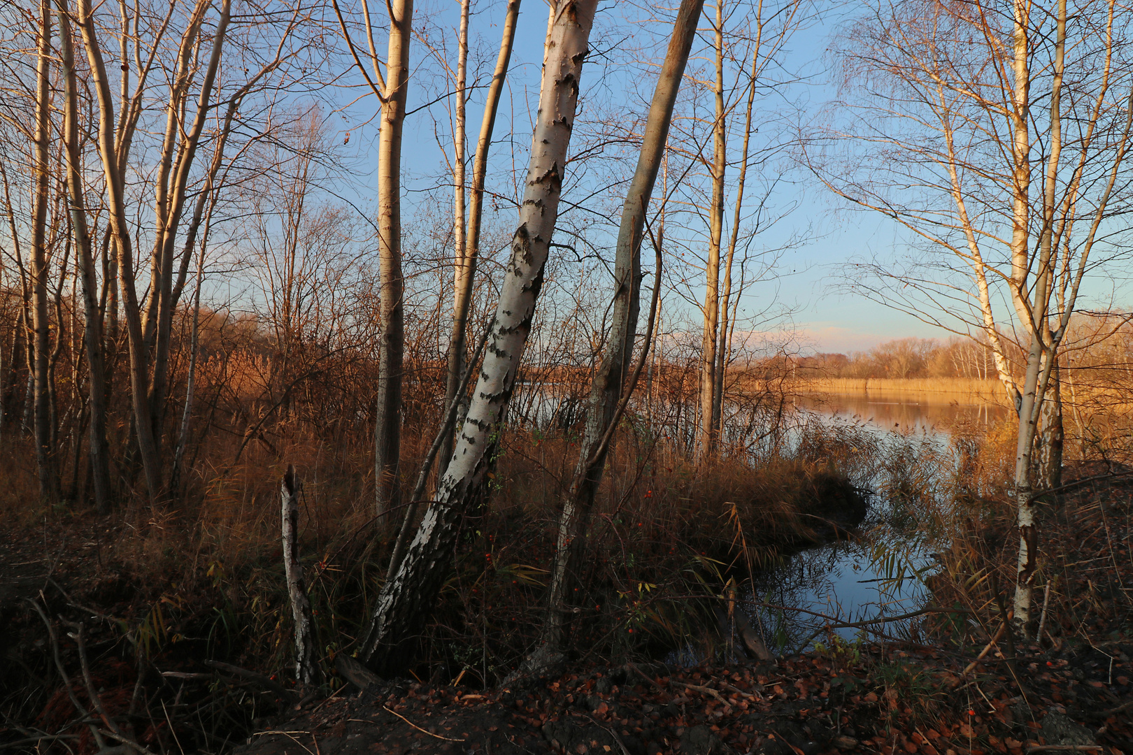 Insel am Teichufer