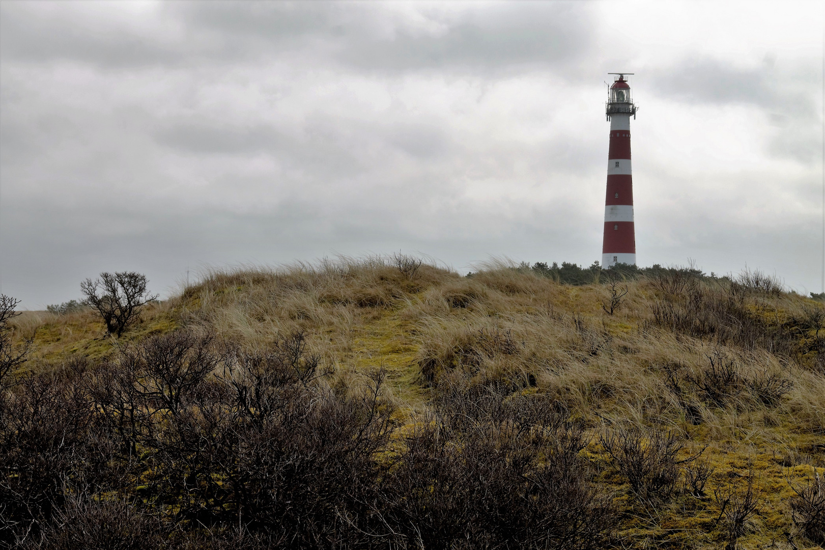 Insel Ameland -Dünen und Leuchtturm-