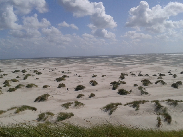 Insel Amrum 3