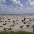 Insel Amrum 3