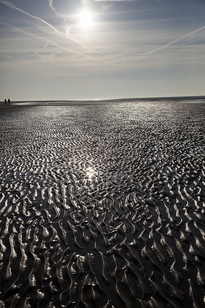 Insel Amrum