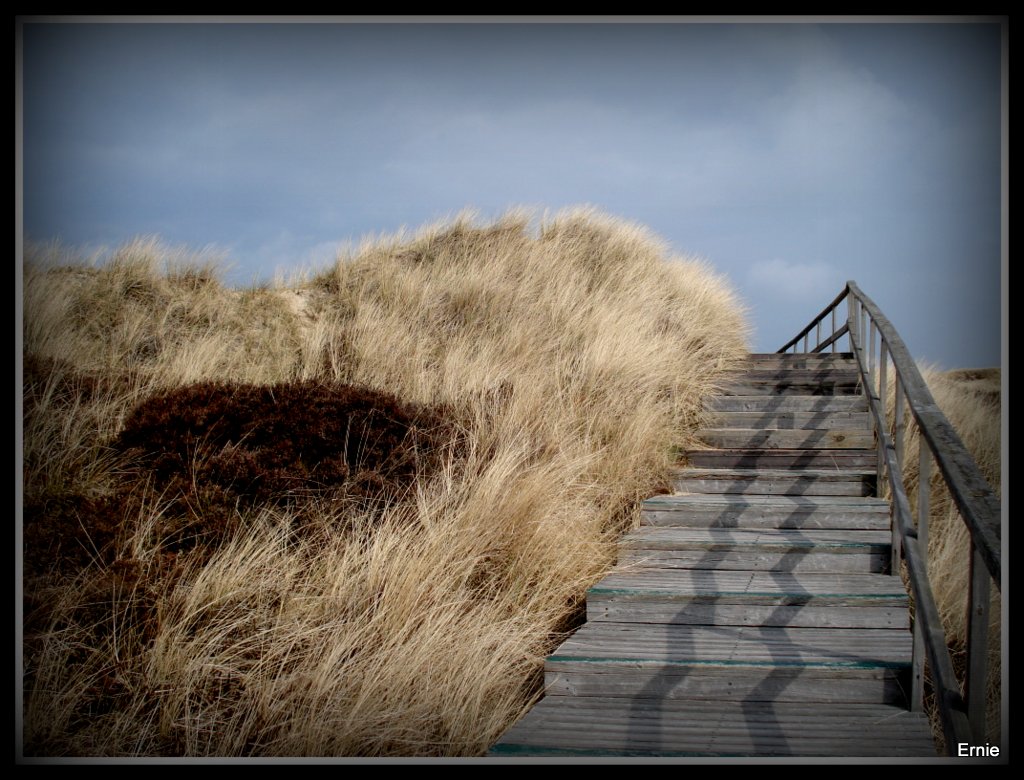 Insel Amrum