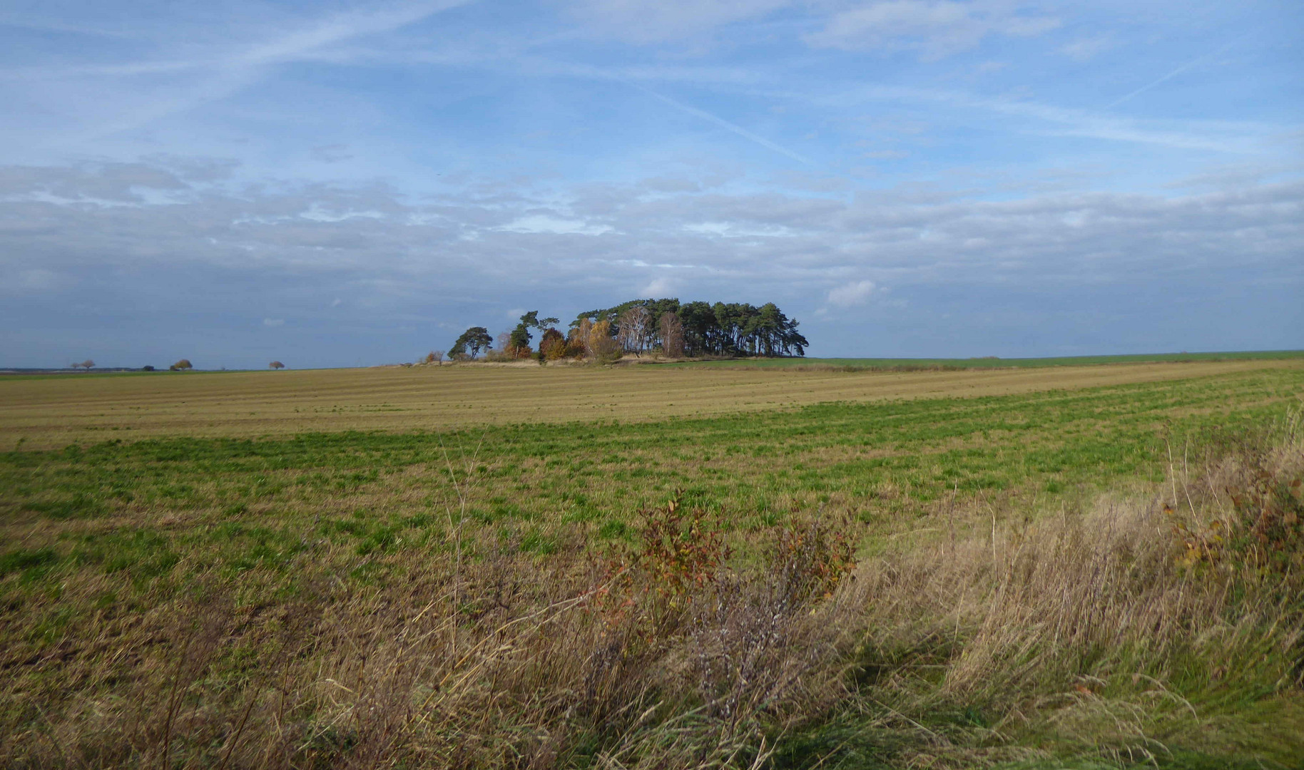 Insel auf dem Feld