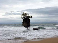 Insel bei Manzanillo