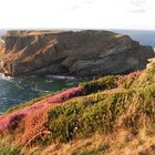 Insel bei Tintagel