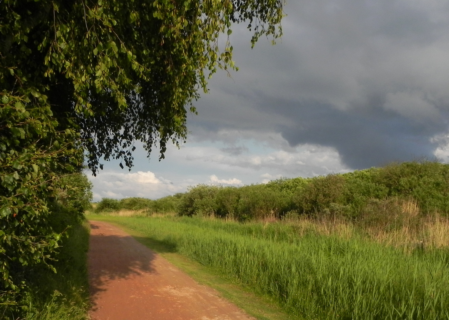 Insel Borkum. Schöner Wanderweg im Insel- Inneren.