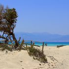 Insel Chrissi, Griechenland