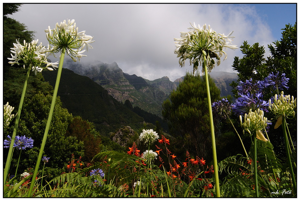 Insel der Berge und Blumen