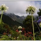 Insel der Berge und Blumen