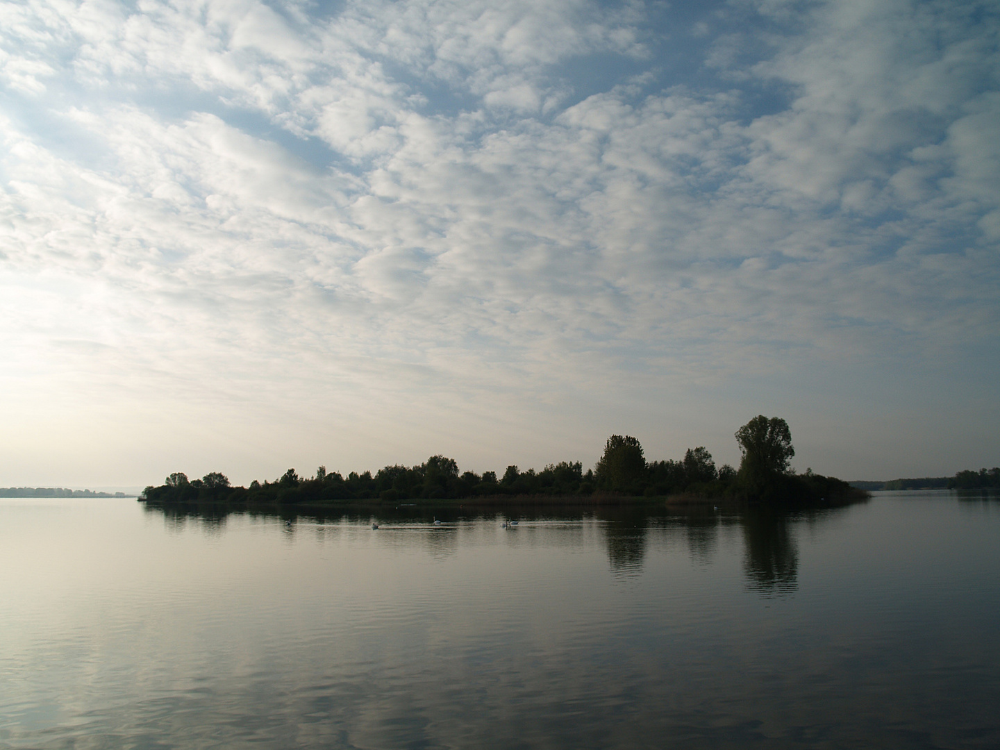 Insel der glückseligen Schwäne