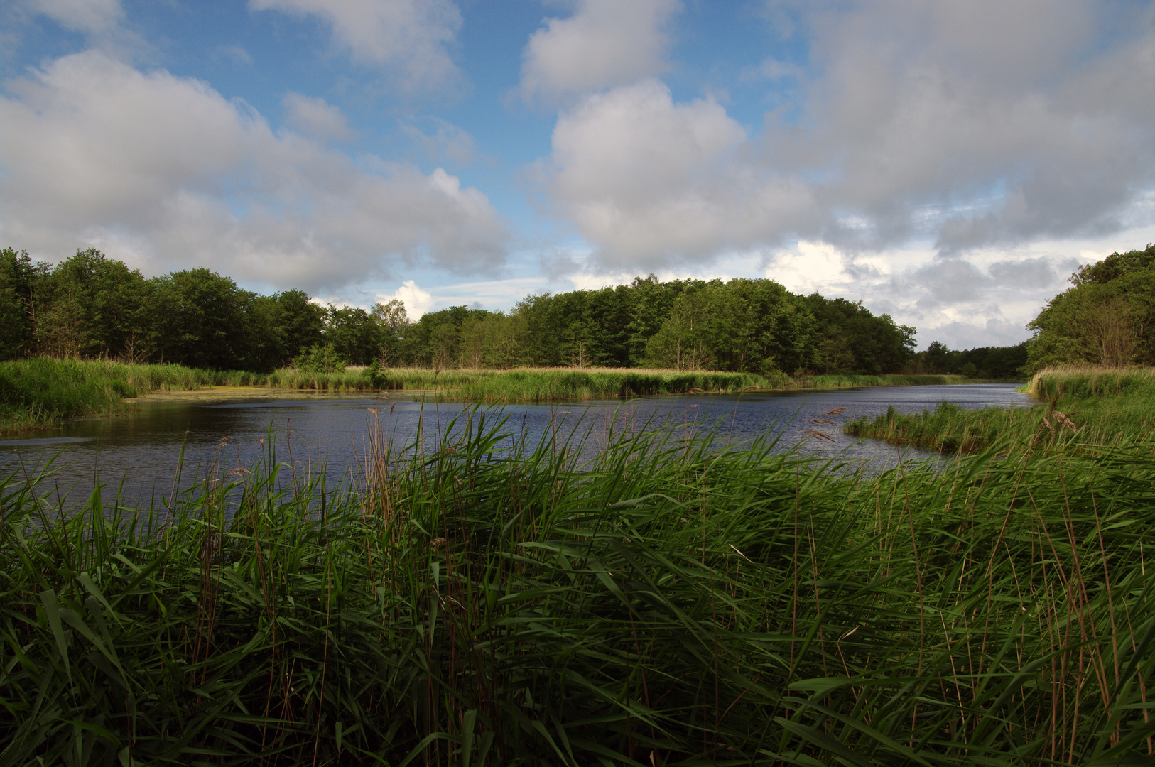 Insel der Ruhe