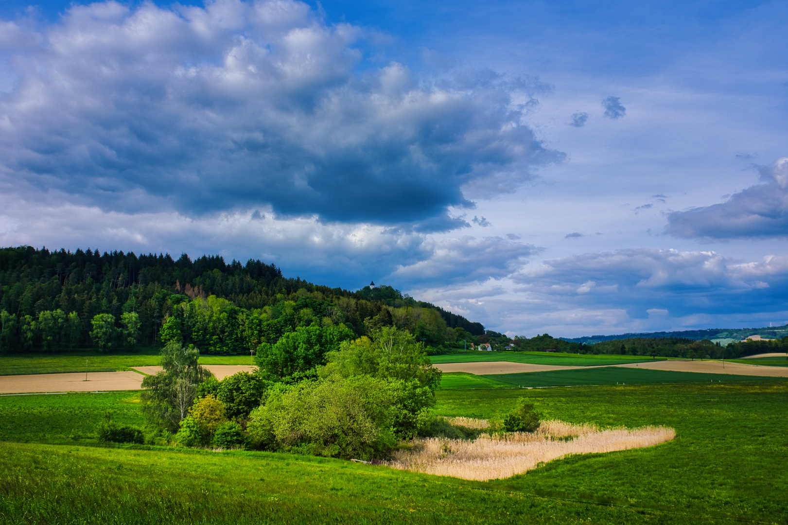 Insel der Ruhe im Grün