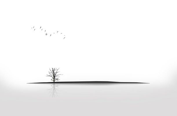 Insel der Ruhe (La isla del sosiego)