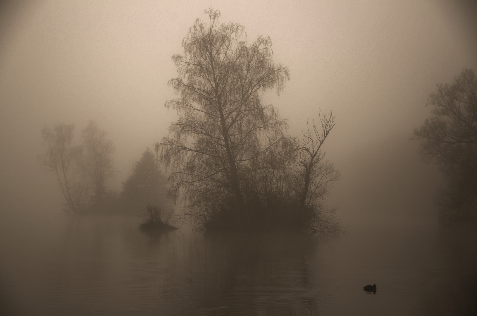 Insel der verlorenen Seelen