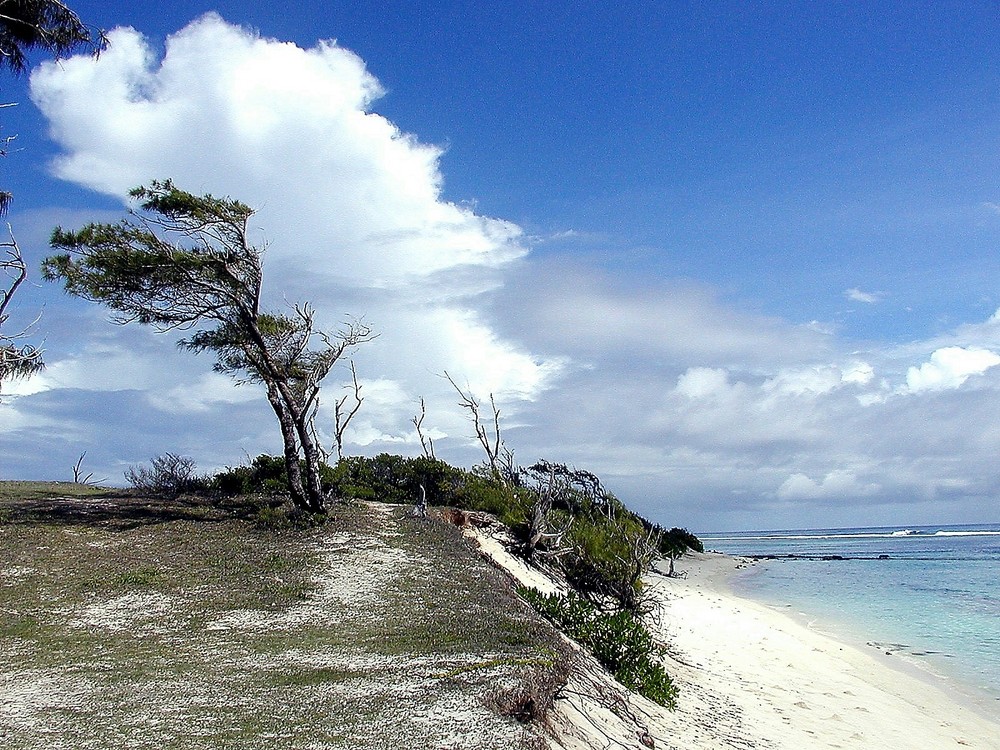 Insel der Winde