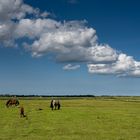 Insel feeling an der Nordsee