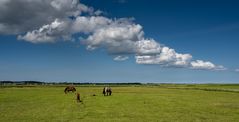 Insel feeling an der Nordsee