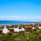 Insel Fehmarn mit Strandkörben