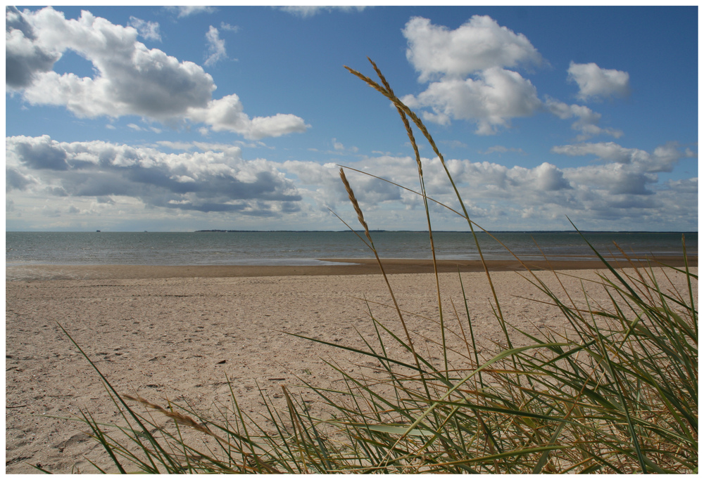 Insel Föhr