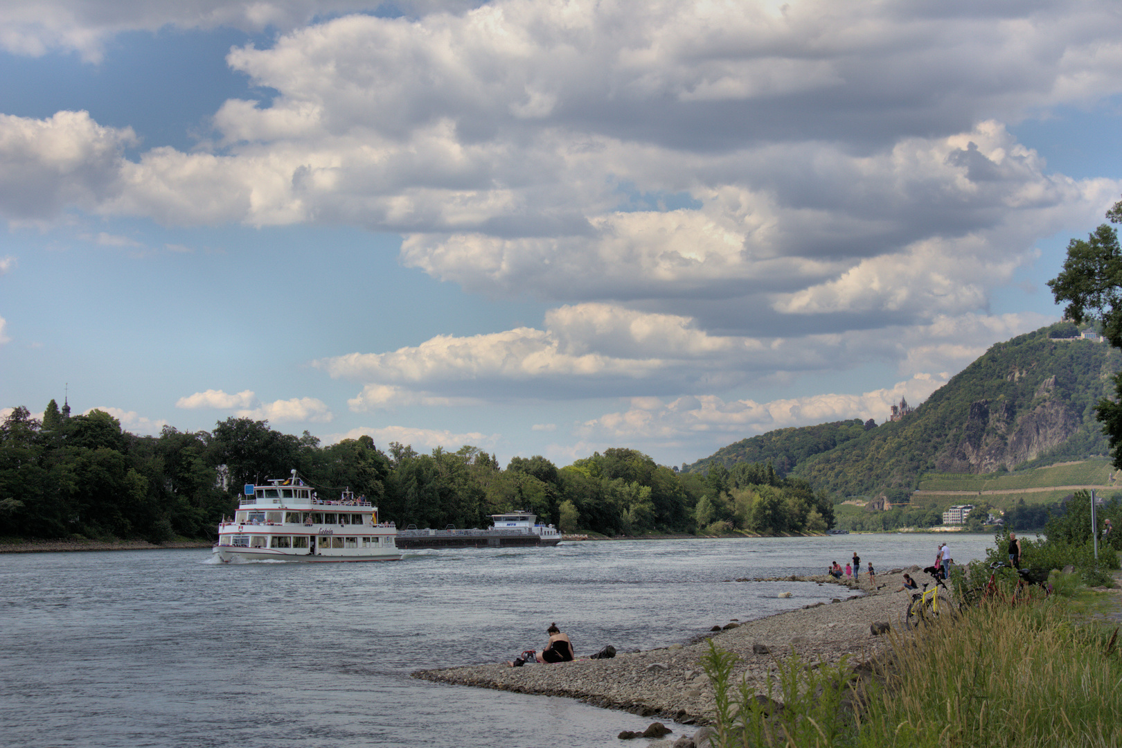 Insel Grafenwerth