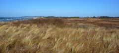 Insel Hiddensee 