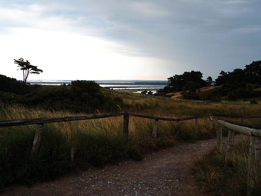 Insel Hiddensee - Abendstimmung im Hochland