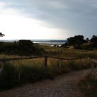 Insel Hiddensee - Abendstimmung im Hochland