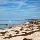 Insel Hiddensee - Gellen (02) 08/2023