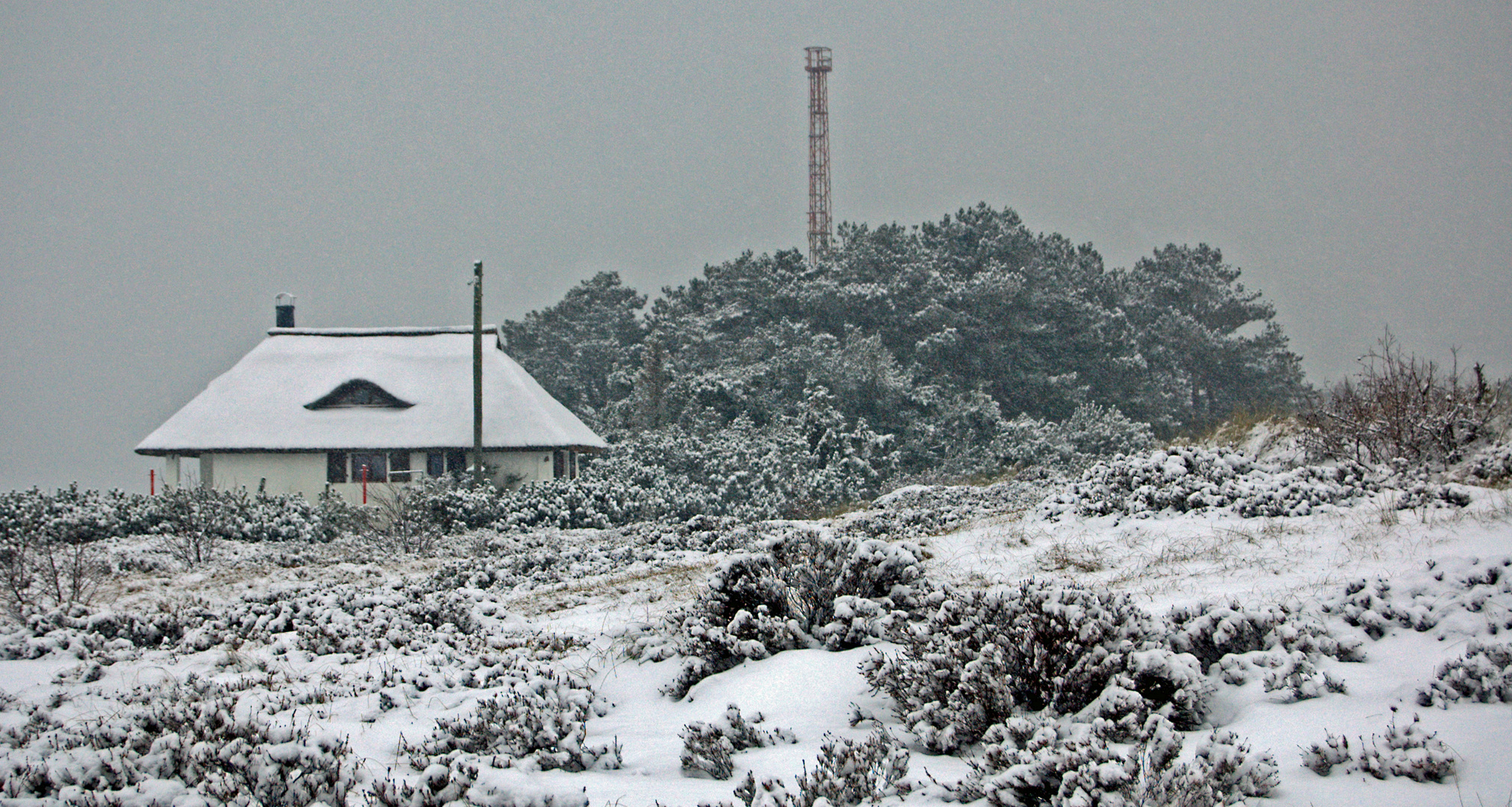 Insel Hiddensee im Schneesturm