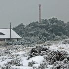 Insel Hiddensee im Schneesturm