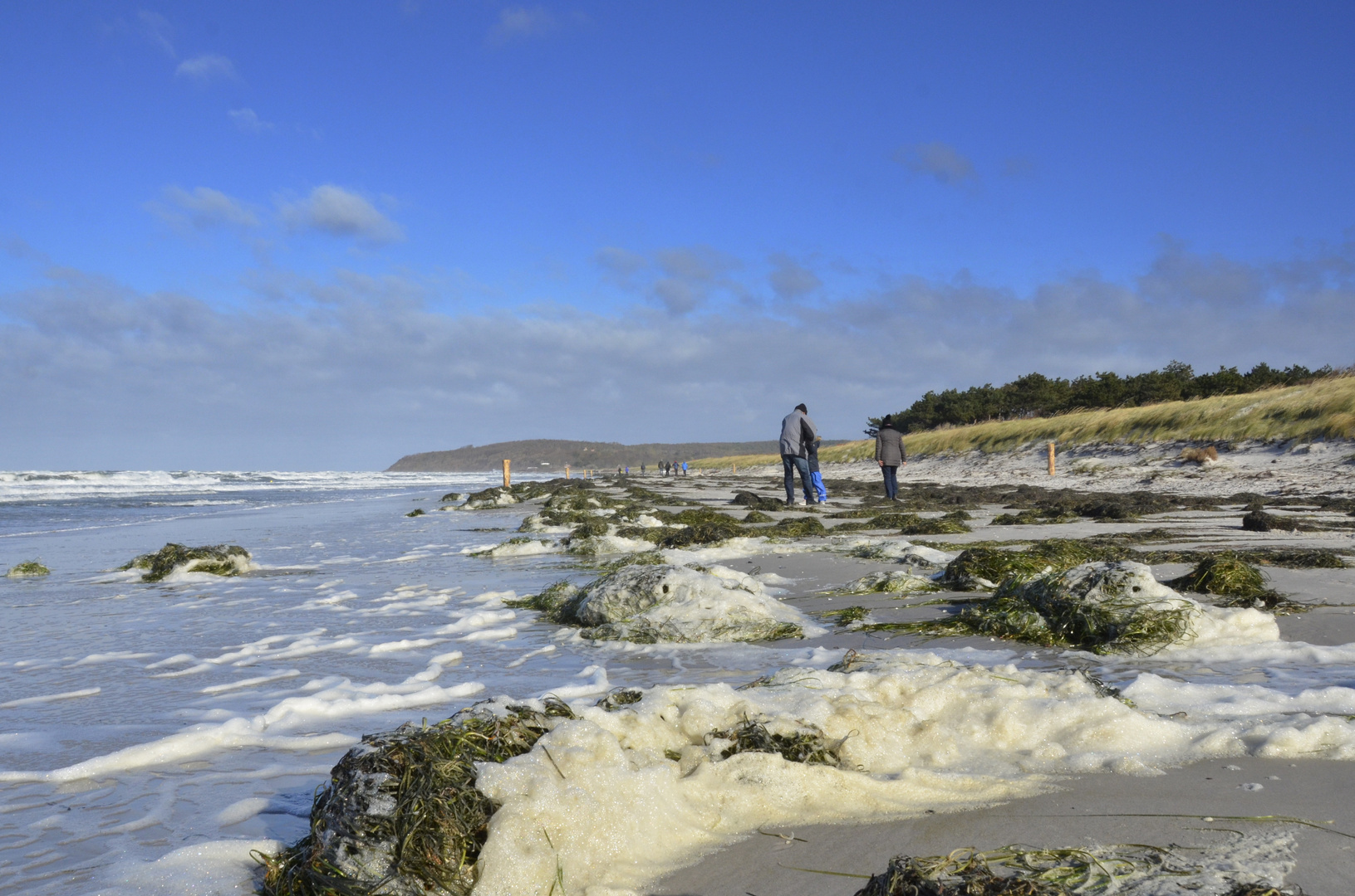 Insel  Hiddensee im Sturm