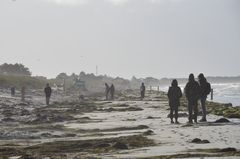 Insel  Hiddensee im Sturm