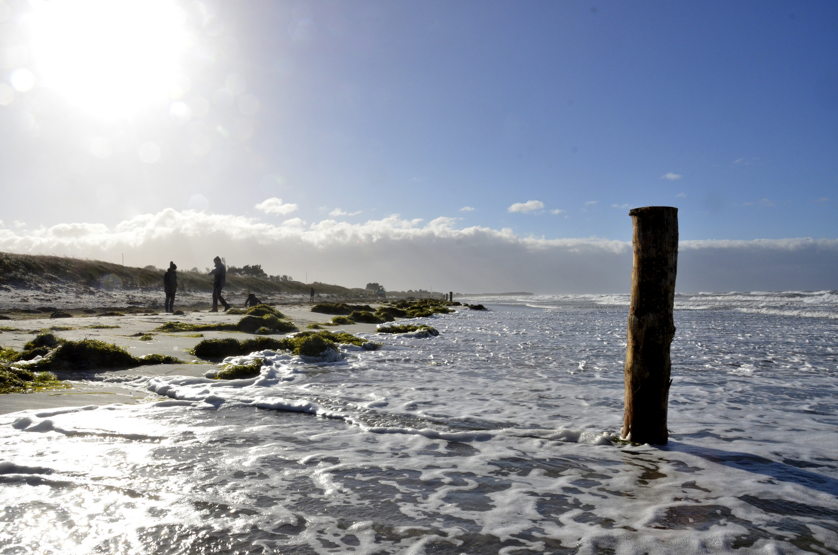 Insel  Hiddensee im Sturm