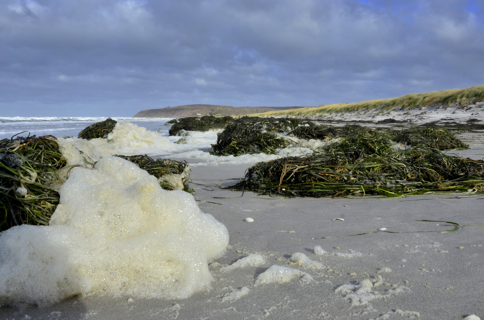 Insel  Hiddensee im Sturm