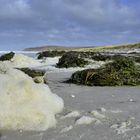 Insel  Hiddensee im Sturm