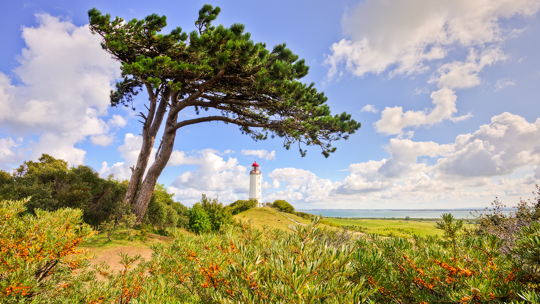 Insel Hiddensee *Leuchtturm Dornbusch*