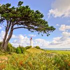 Insel Hiddensee *Leuchtturm Dornbusch*