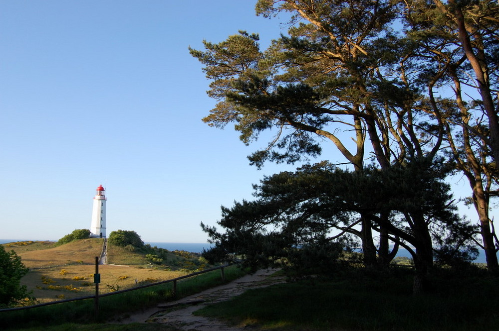 Insel Hiddensee- Sehnsucht zum Dornbusch