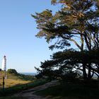 Insel Hiddensee- Sehnsucht zum Dornbusch